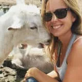 marianne thieme stopt dierendag