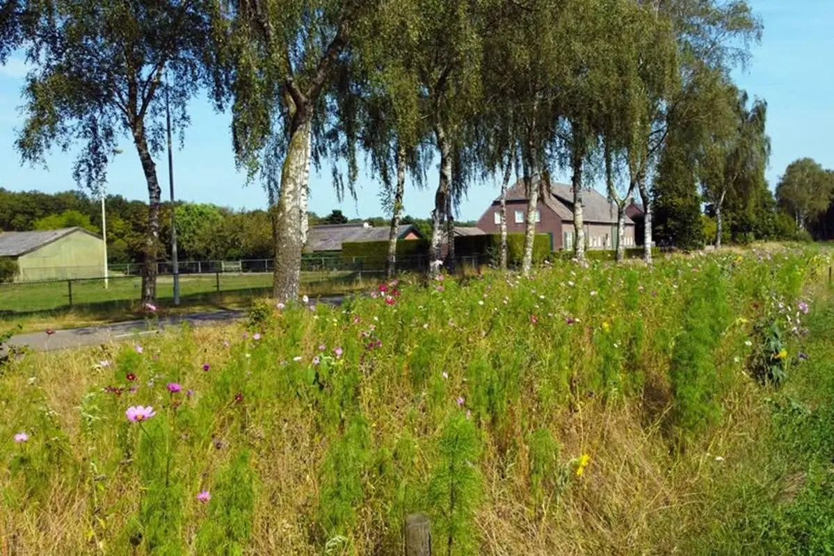 akkerranden