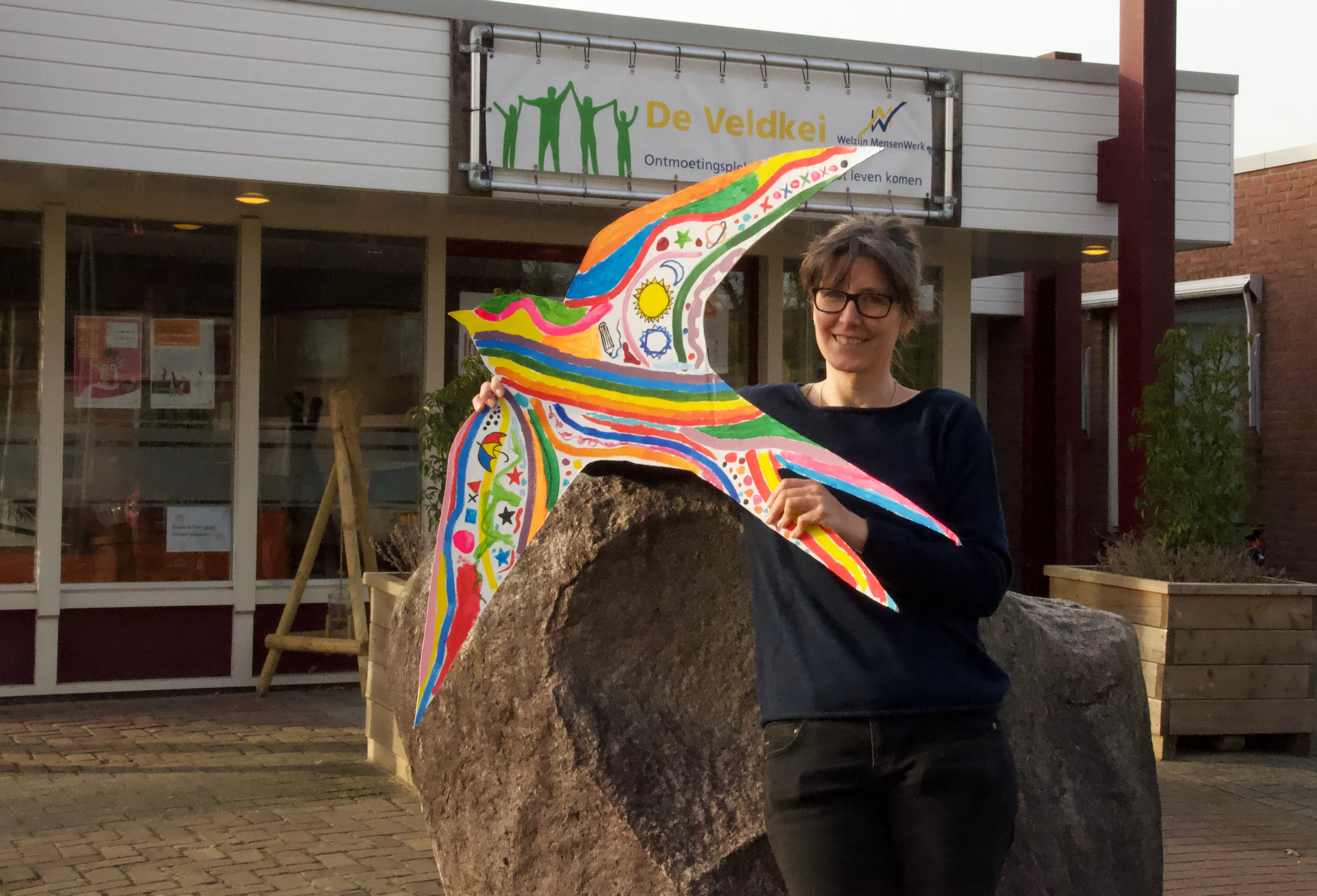 havelte zwaluwen1