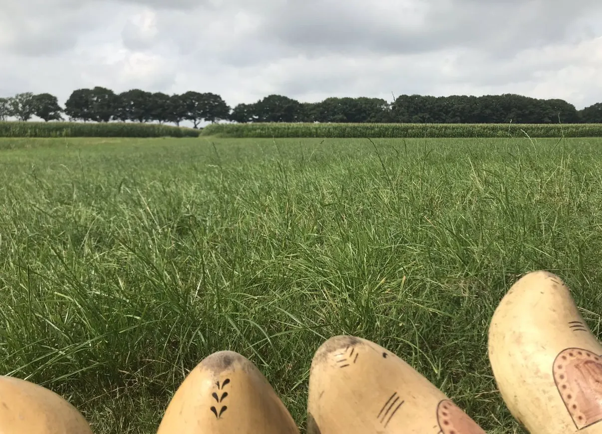 voeten boeren roelie waanders