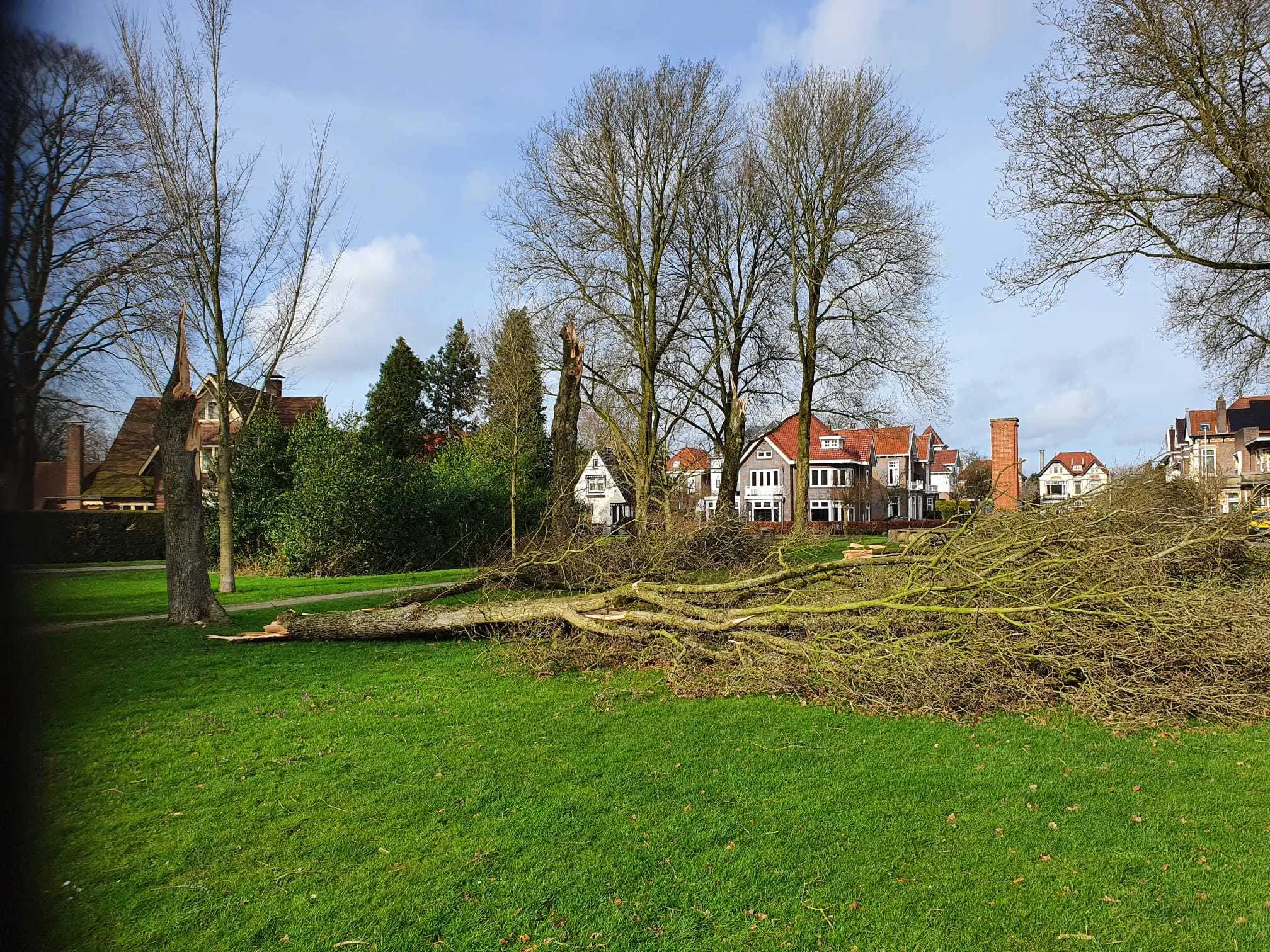 wilhelminapark afgesloten