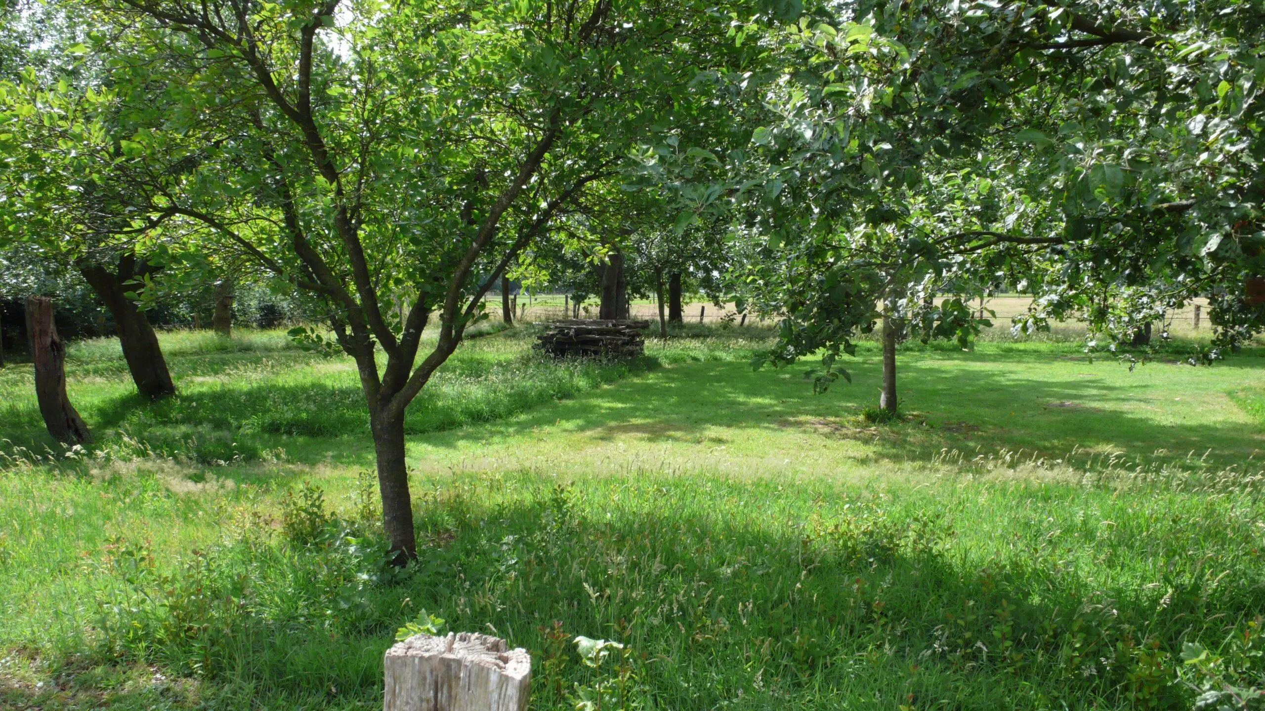 Deelnemers gezocht voor Stimuleringsregeling Landschap en Biodiversiteit