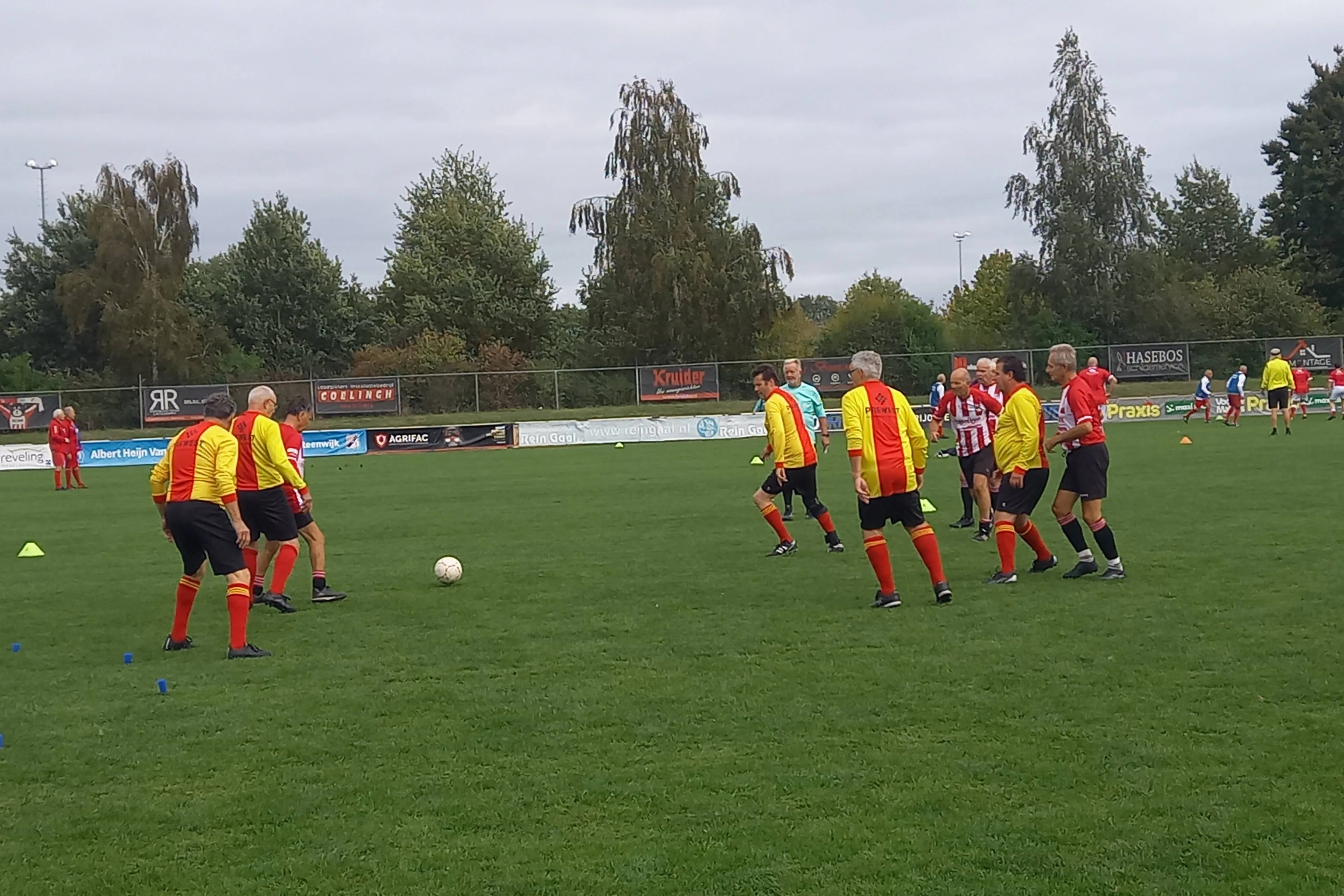 Vitesse tegen Steewijk