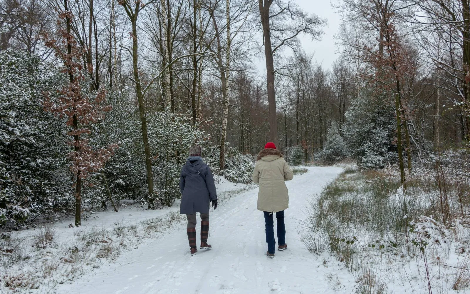 Reestdal 104436-LO07338-Gonny Sleurink