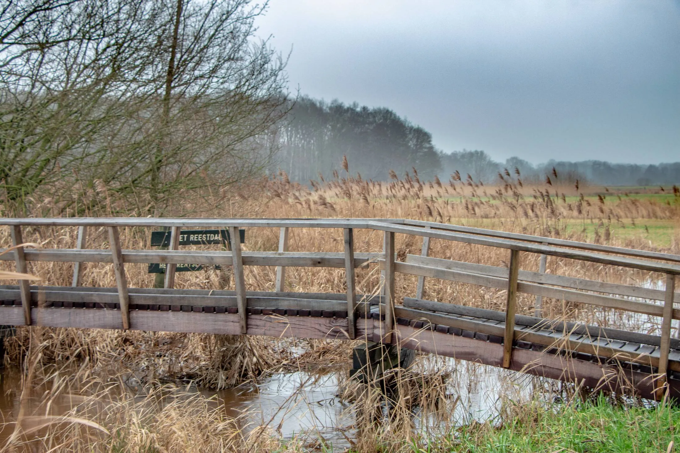 Reestdal, Gonny Sleurink (3)