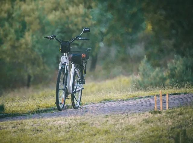 bicycle g42e415ea4 640