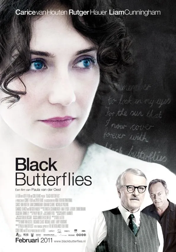 black butterflies poster