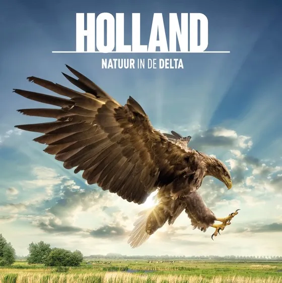 holland natuur in de delta 47042982 ps 1 s low1