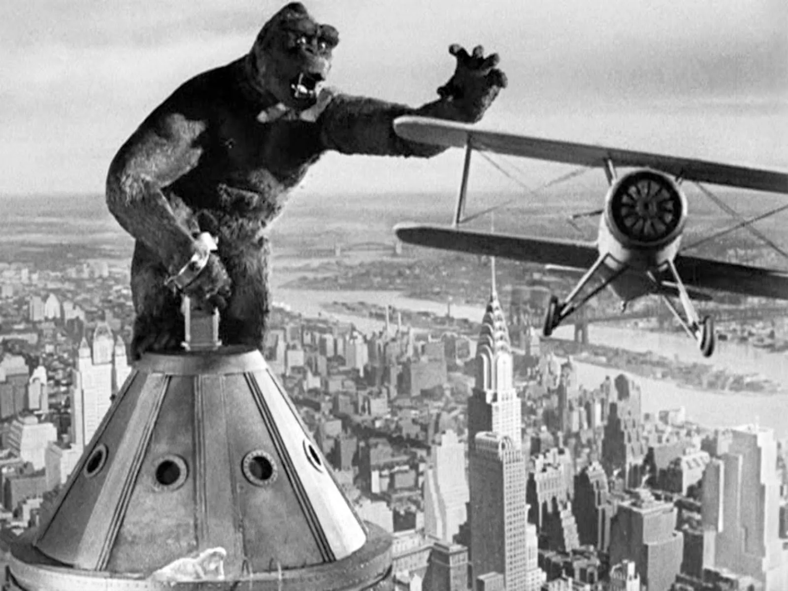 king20kong204