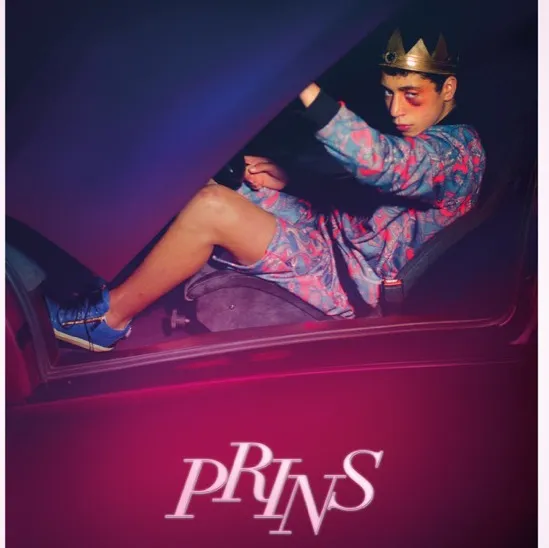 prins 37062515 ps 1 s low1
