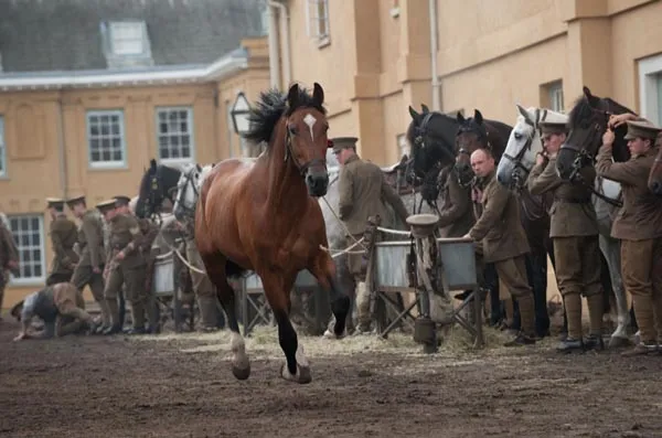 war horse 1