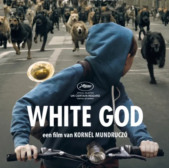white god 26006405 ps 1 s low