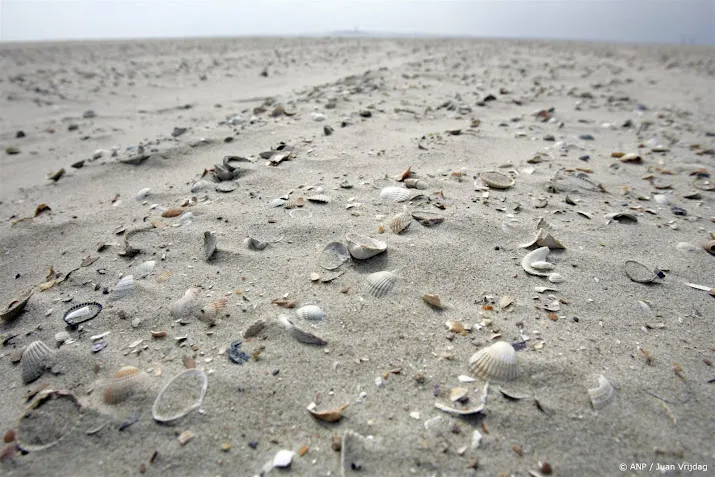 schelpdesk helpt schelpentellers op 17 stranden