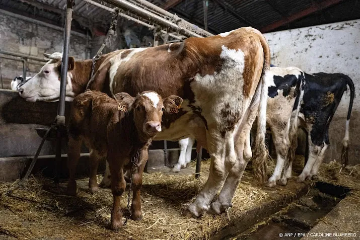 Brits importverbod op Duitse landbouwdieren na MKZ-uitbraak