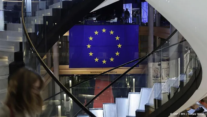 Sociaaldemocraten Europees Parlement willen actie tegen Meta en X