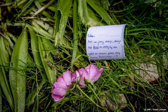 School waarschuwde voor mishandeling pleegmeisje Vlaardingen