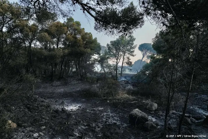 Franse snelweg richting Spanje weer open na bosbranden