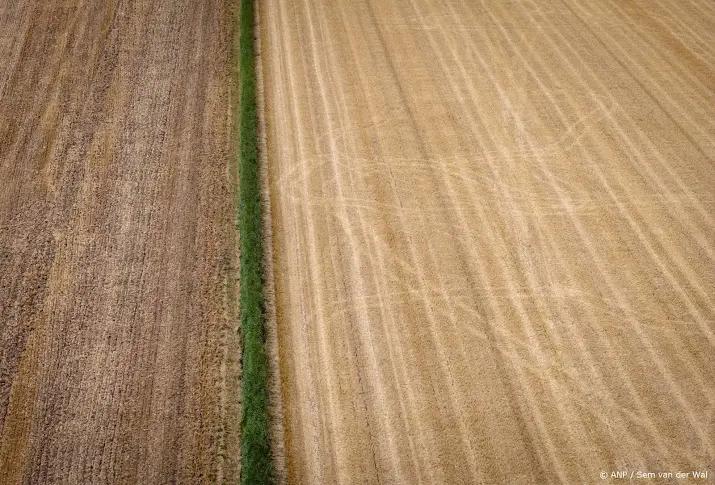 anp120826001 1