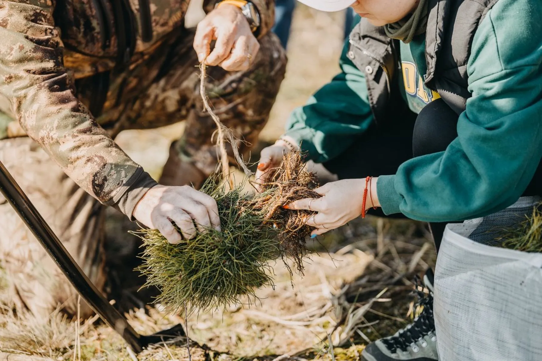 Miškasodis 2025m. / A. Kundroto nuotr.
