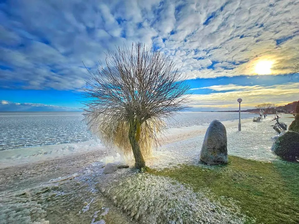 Apledėjusi Neringa / A. Tarvydaitės nuotr.