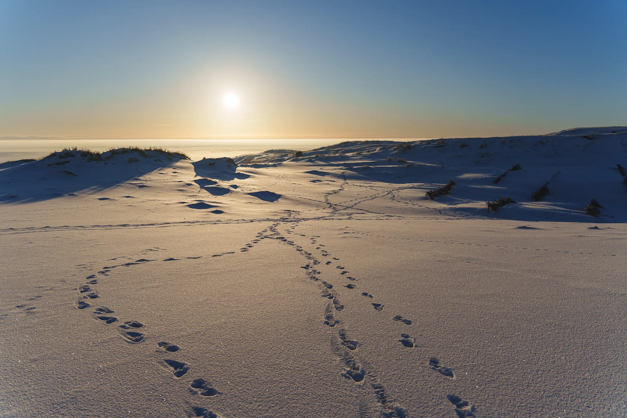 Parnidžio kopos žiemos saulėtekyje / R. Tenio nuuotr.