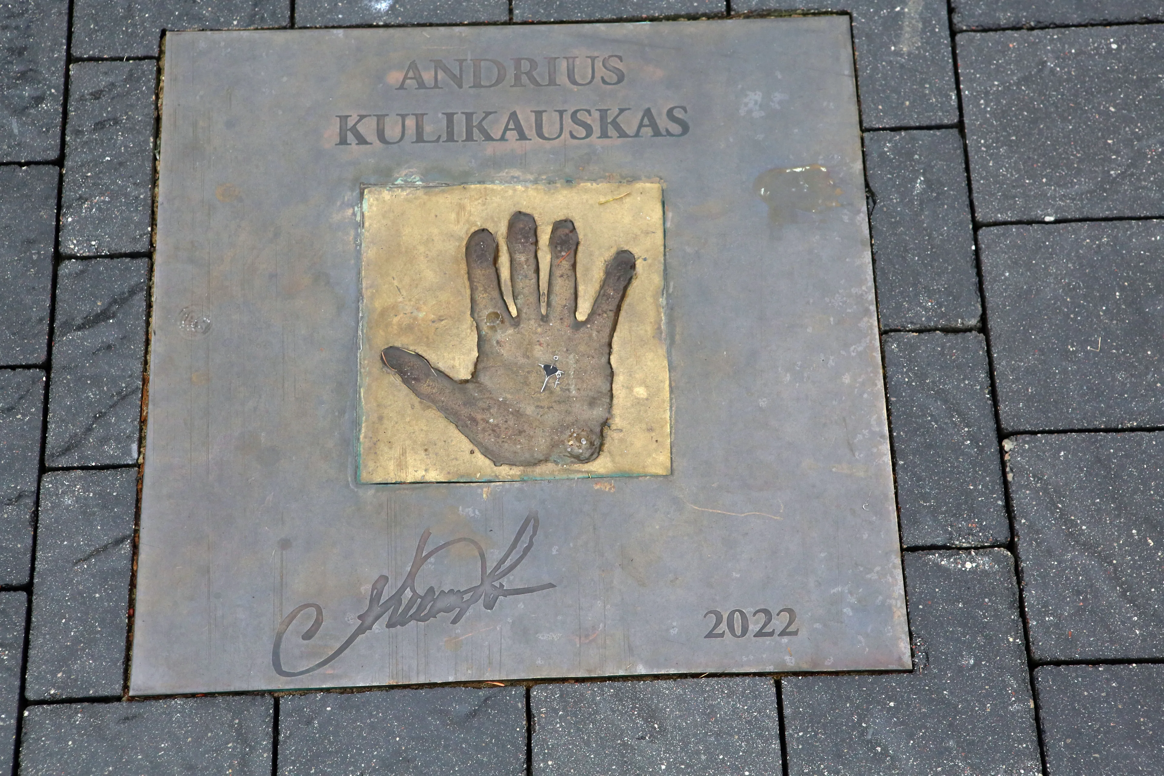A.Kulikausko rankos anstpaudas / M.Patašiaus nuotr.