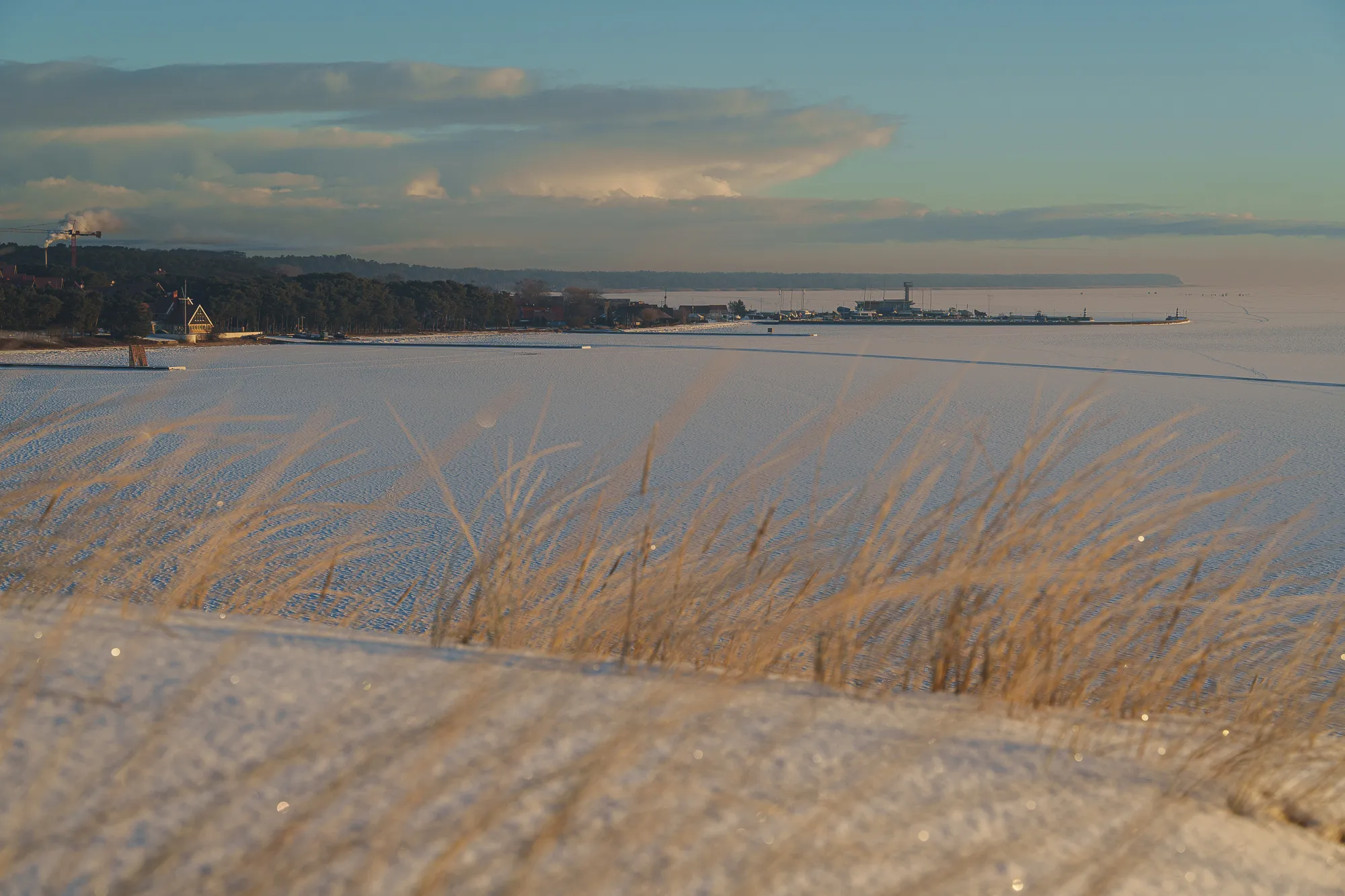 Parnidžio kopos žiemos saulėtekyje / R. Tenio nuuotr.