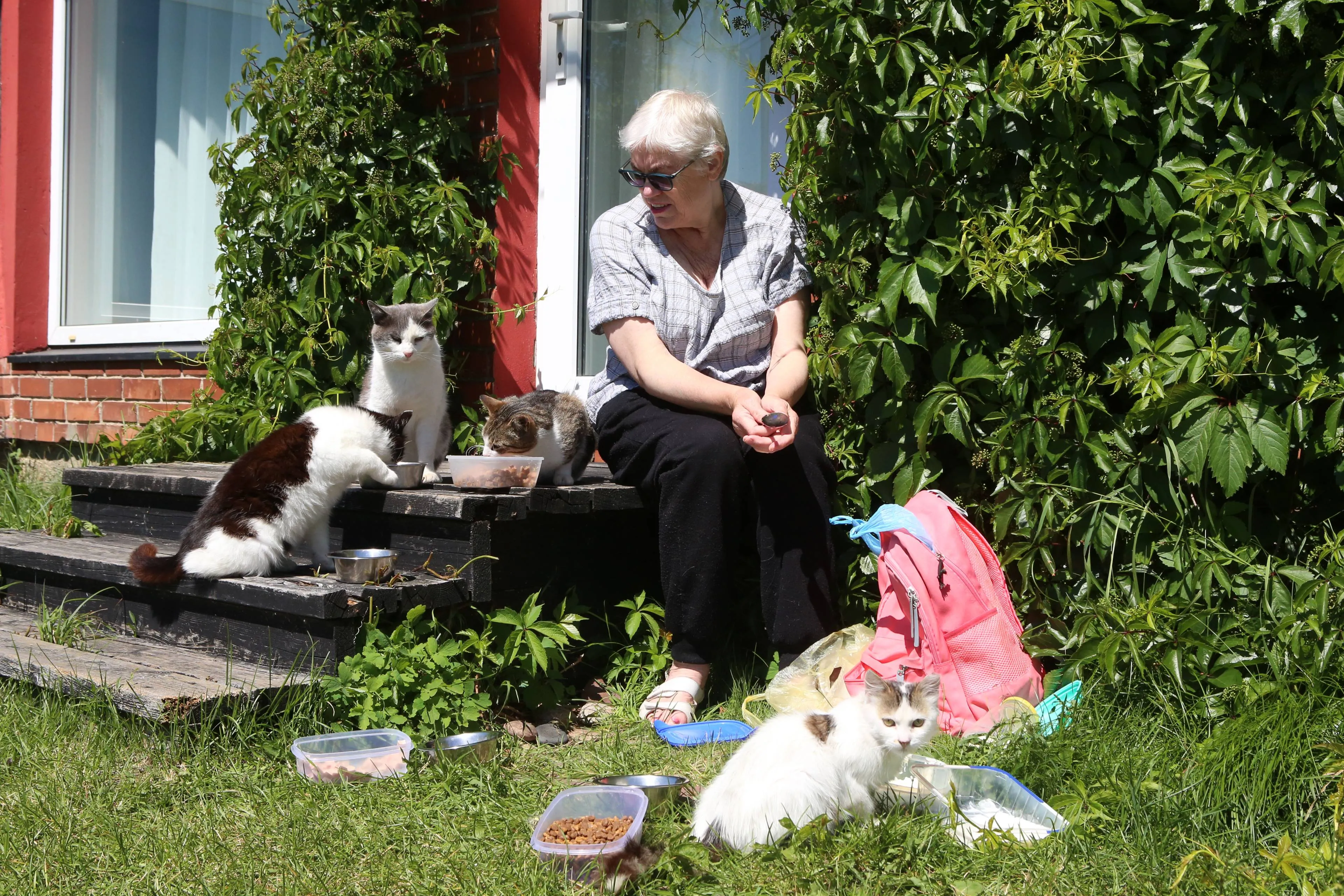 L Naudelytė ir jos globojami katinai
