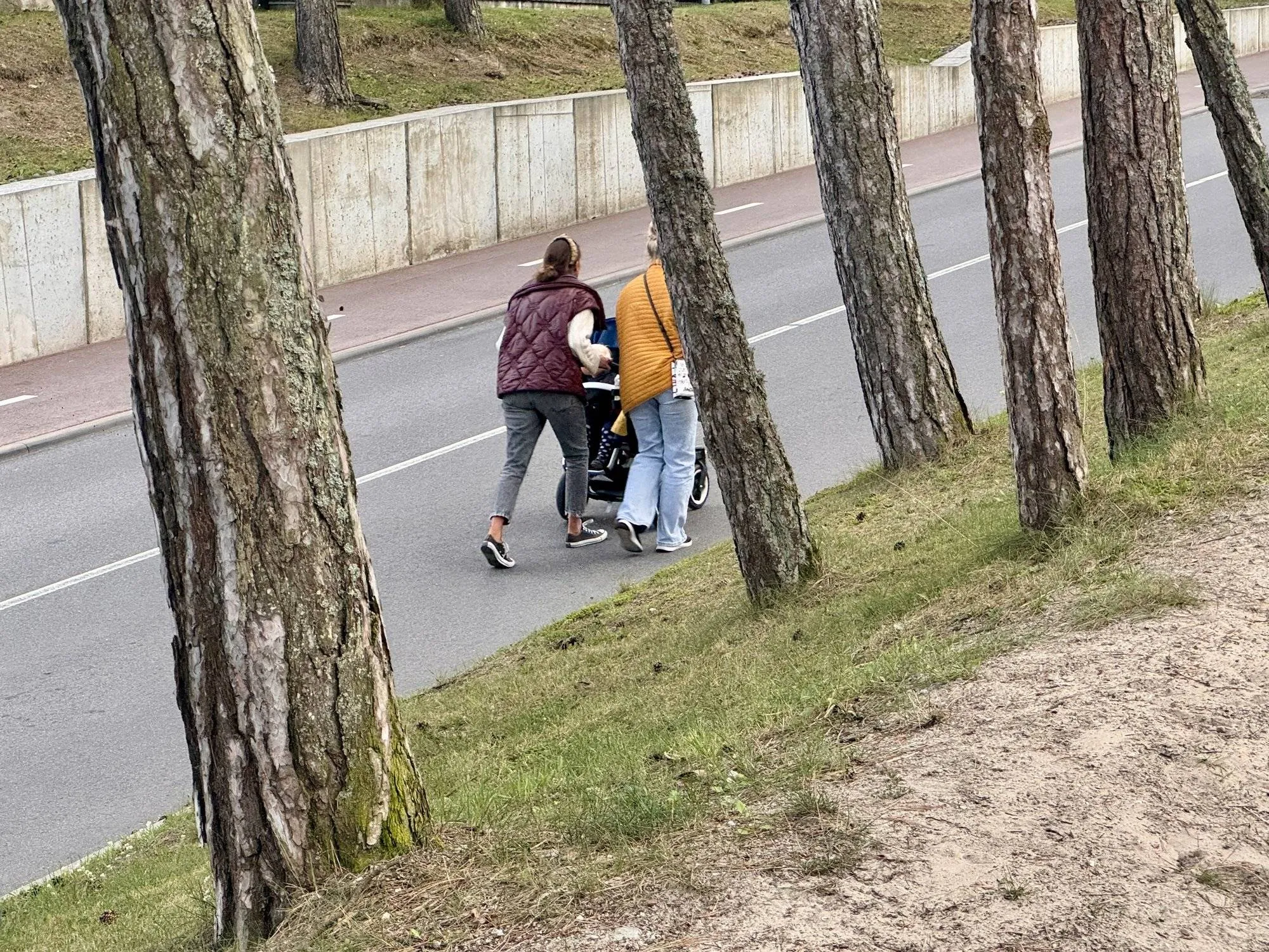 liftas nidoje 2