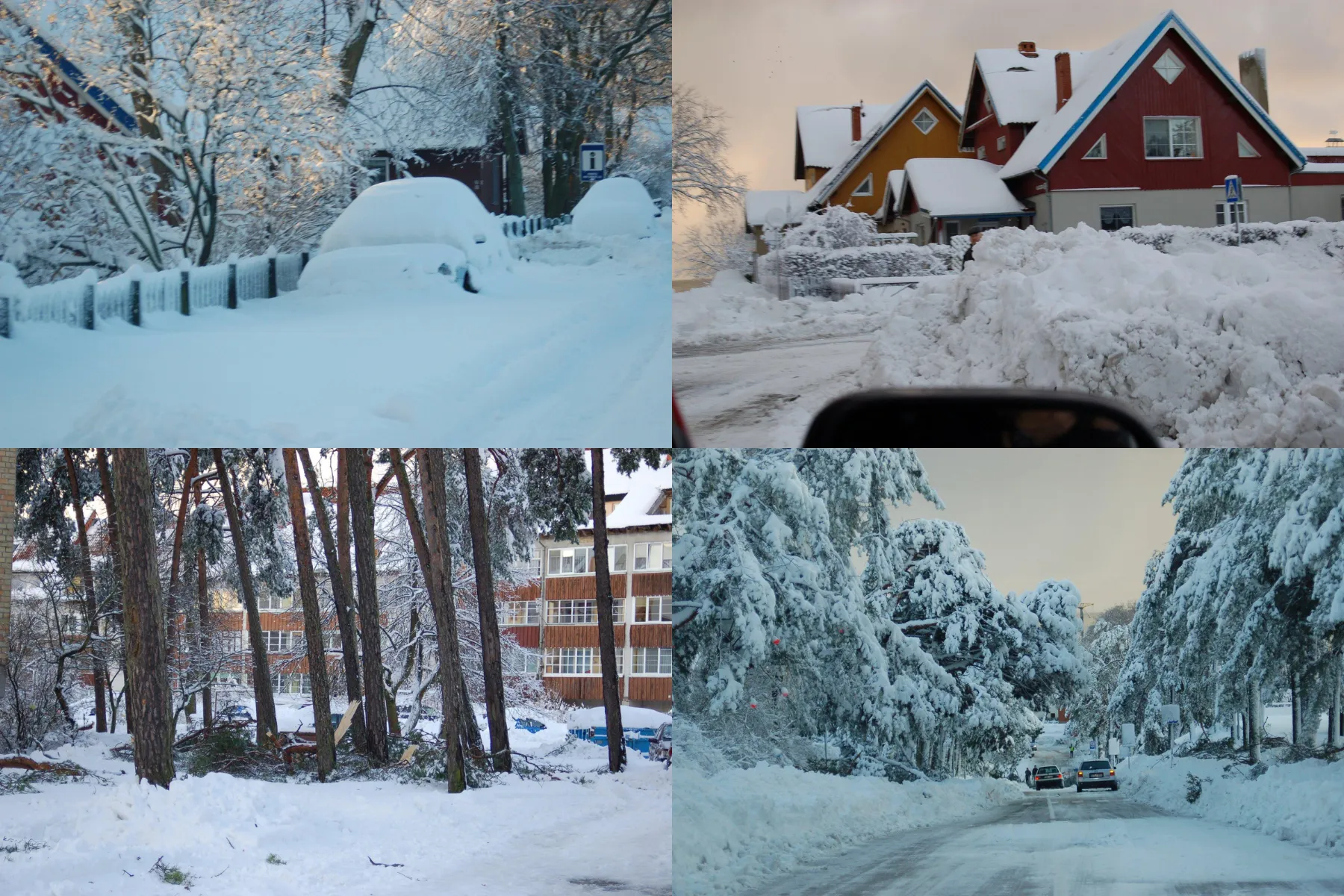 Sniegu padengta Nida