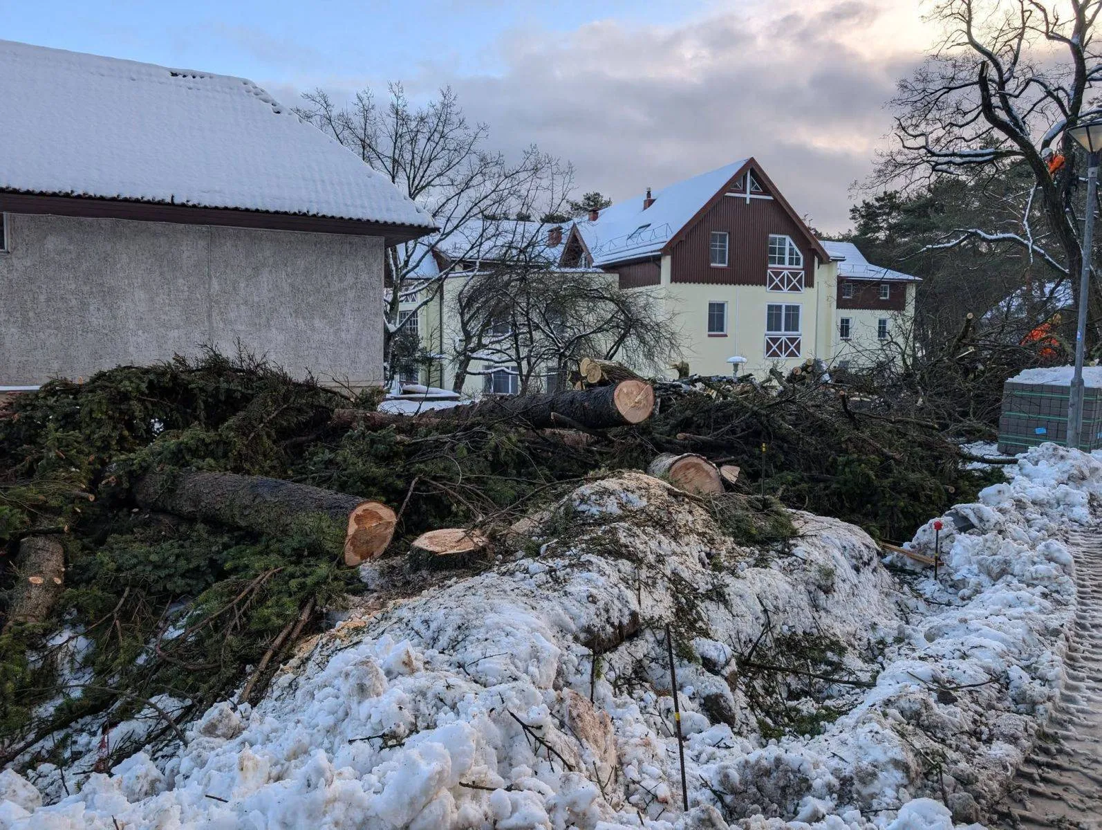 Nidoje iškirsti medžiai sukėlė audrą: paaiškino, ką įrengs jų vietoje ir kokią kompensaciją sumokėjo