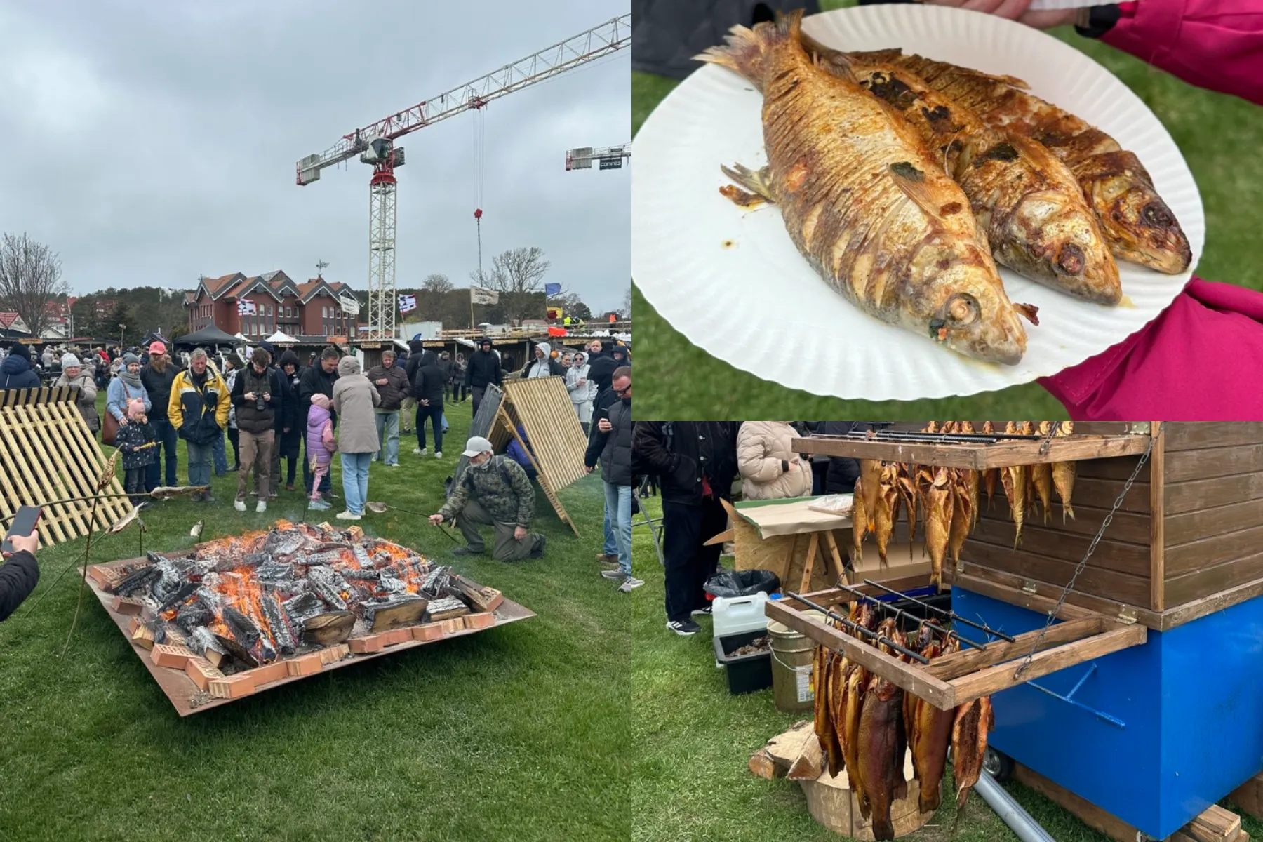 Nidoje vyksta „Žiobrinės“