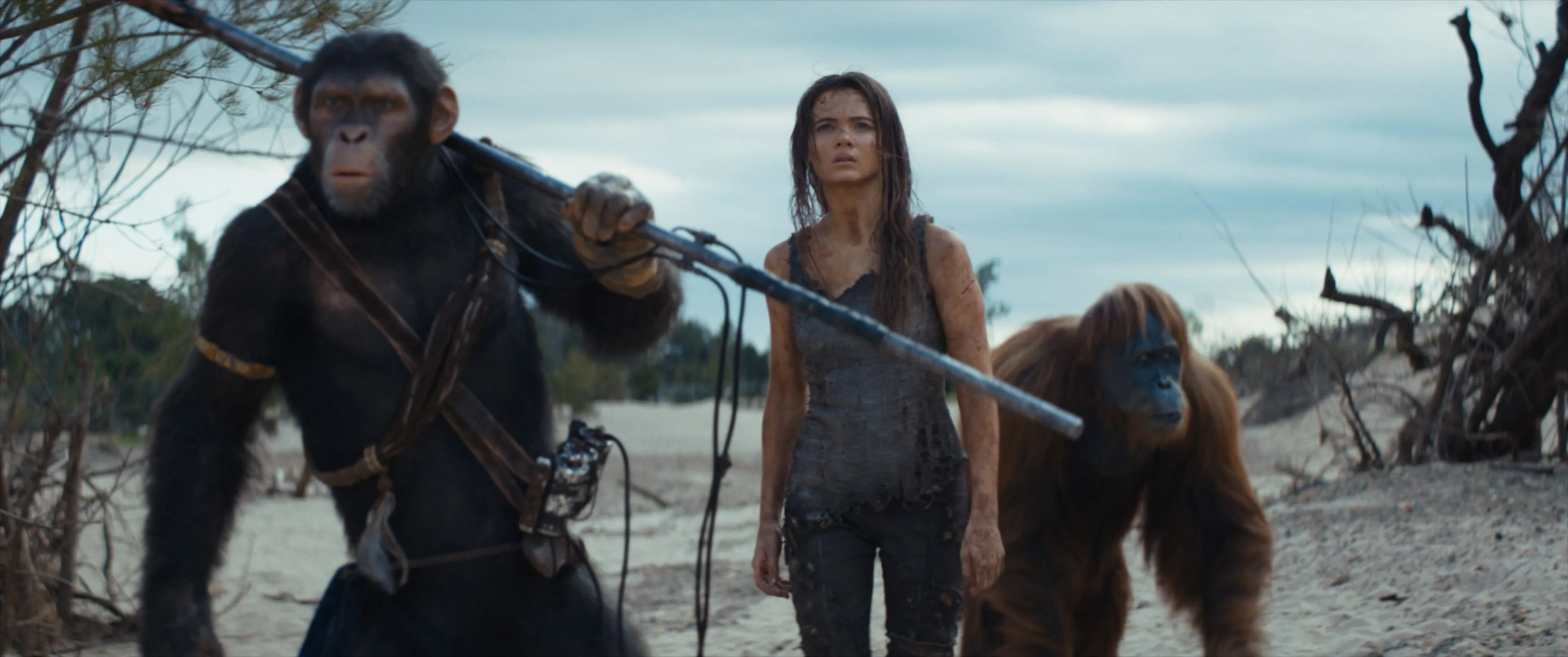 Kingdom of the Planet of the Apes is vanaf nu beschikbaar via Pathé Thuis – ADV