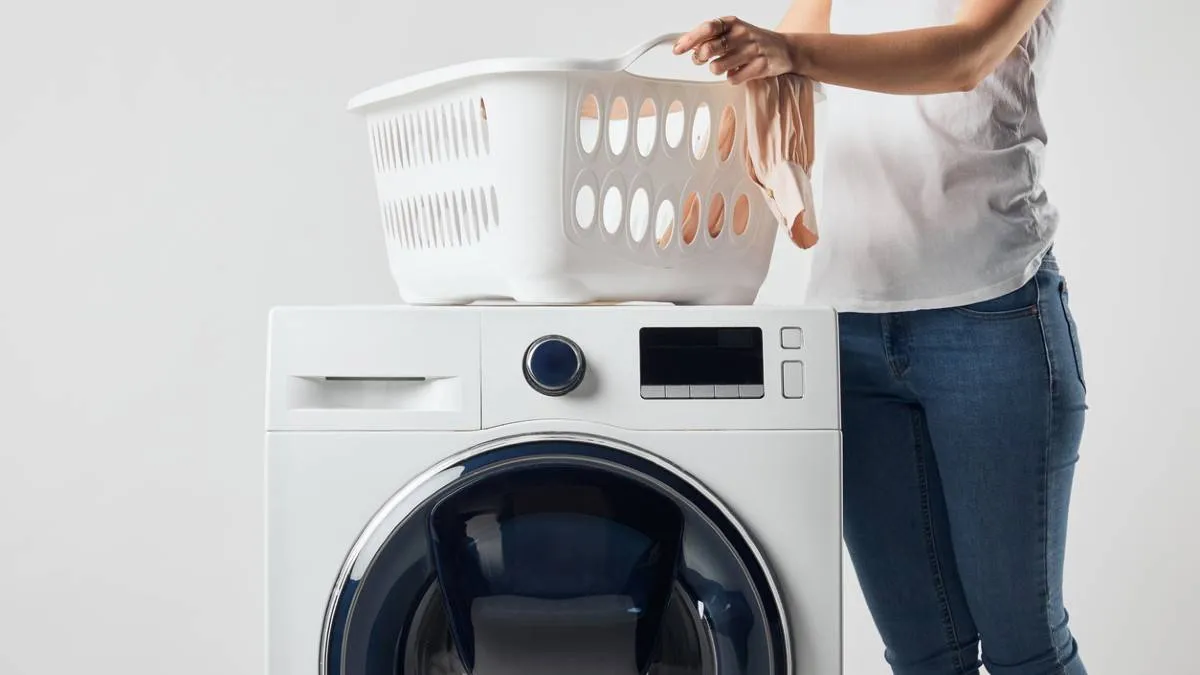 250706wasmandwasmachine