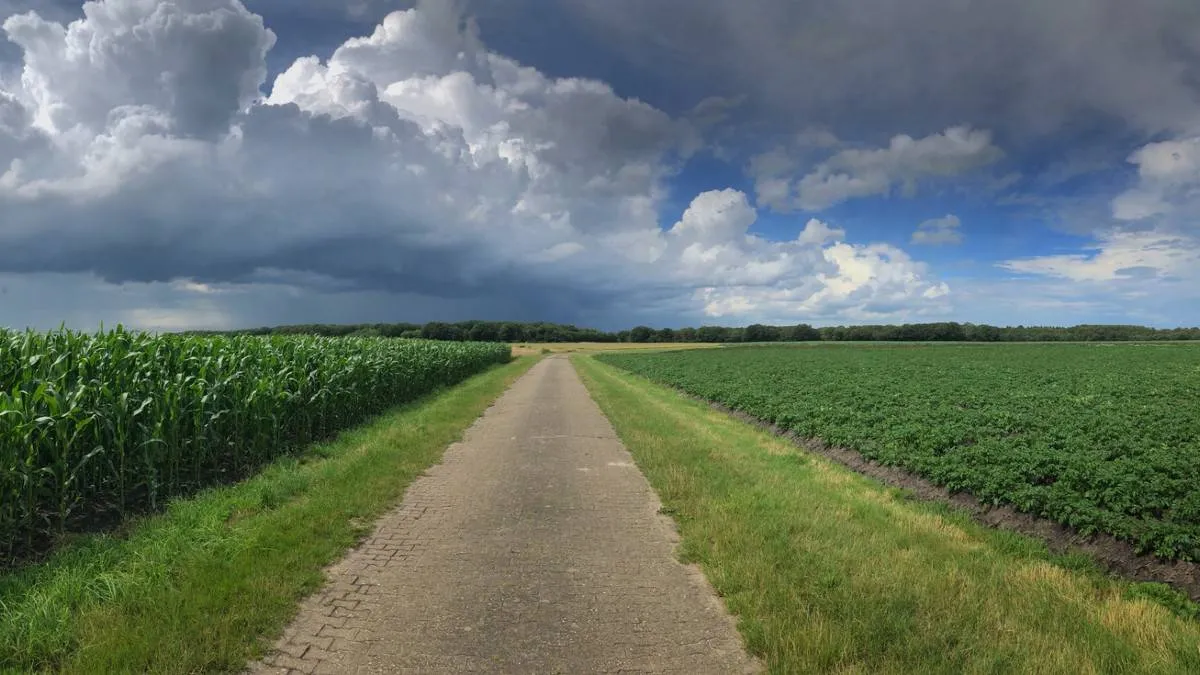 250709WOLKEN