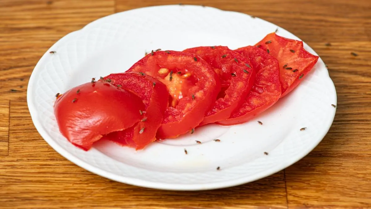 250801FRUITVLIEGEN