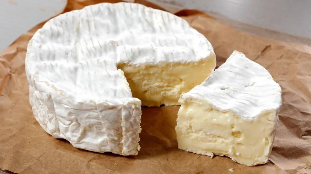 250813CAMEMBERT