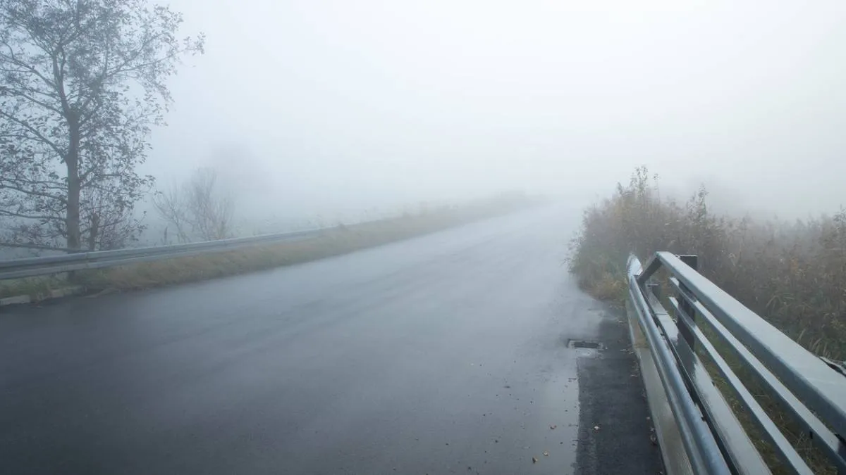 250815MIST