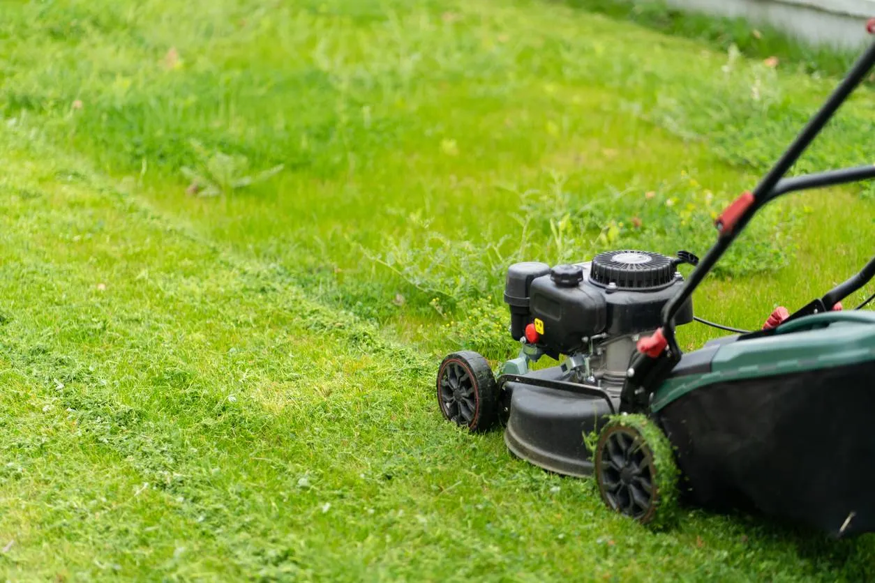 Waarom de geur van vers gemaaid gras je humeur beïnvloedt (en wat er in je hersenen gebeurt)