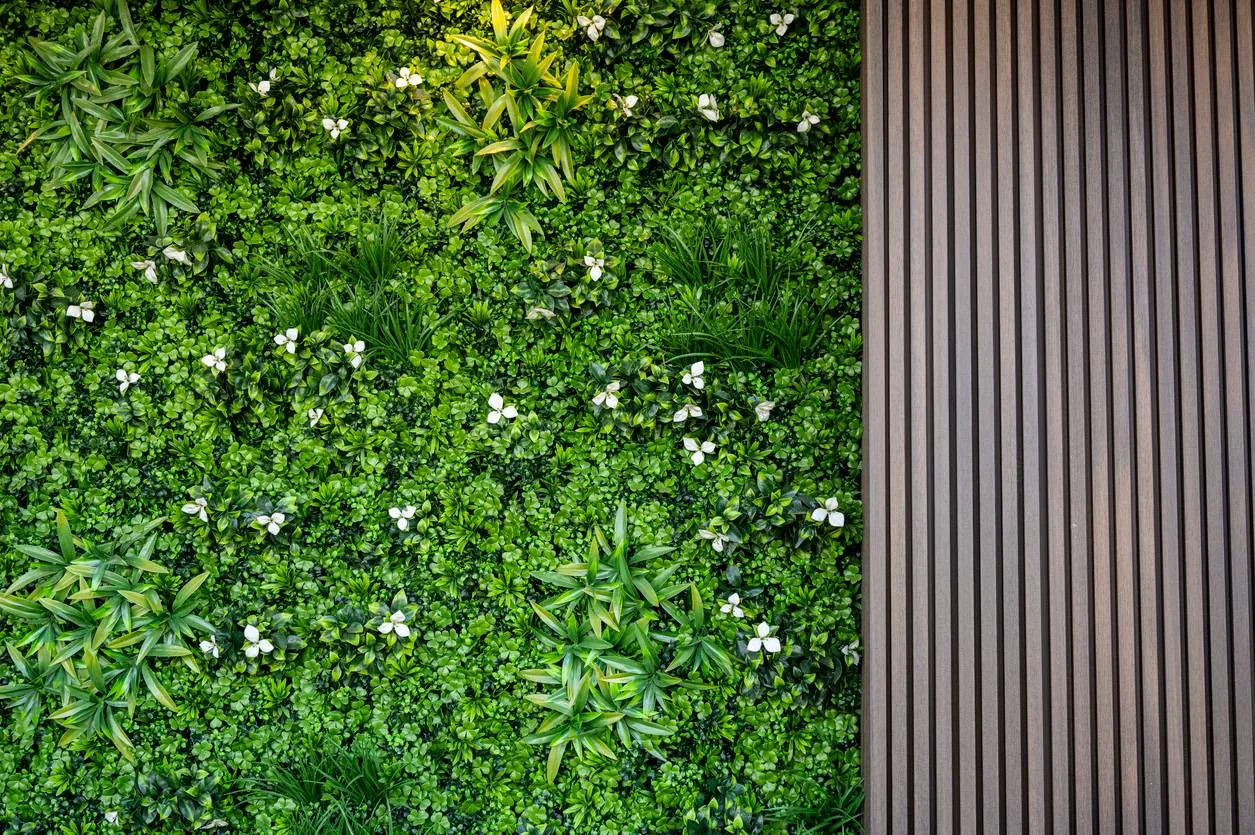 Groen de hoogte in: waarom verticale tuinen steeds populairder worden