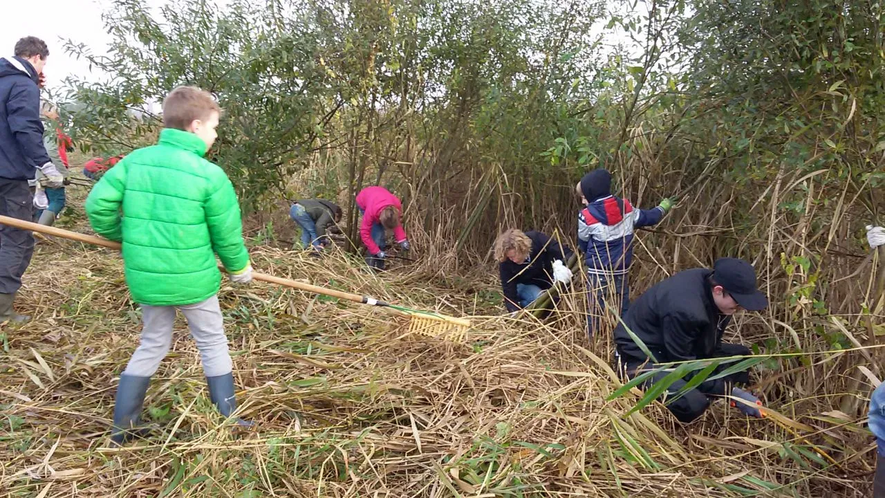 2018 11 18 vogeleiland 3