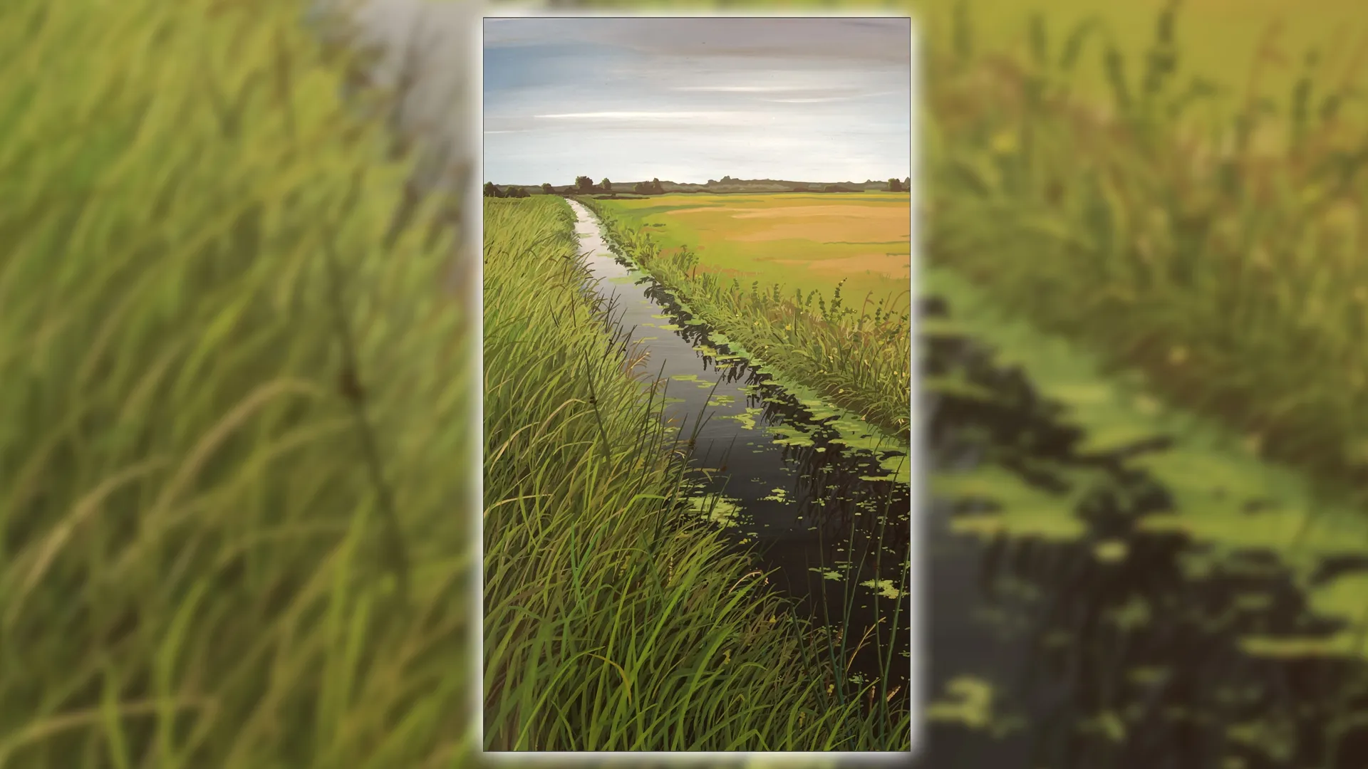 2021 06 29 zwart water sloot visser harm