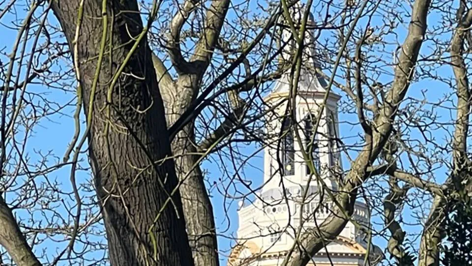 2025 05 12 fraaie oude boom bij grote kerk