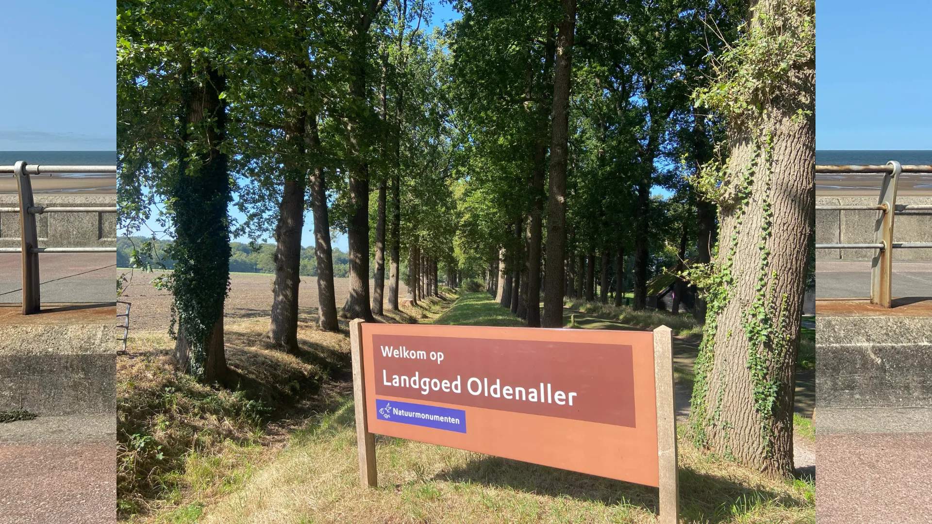 2025-08-19 oldenaller