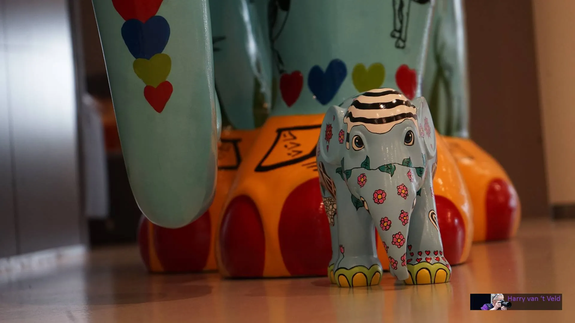 2025-10-16olifant ollie-1