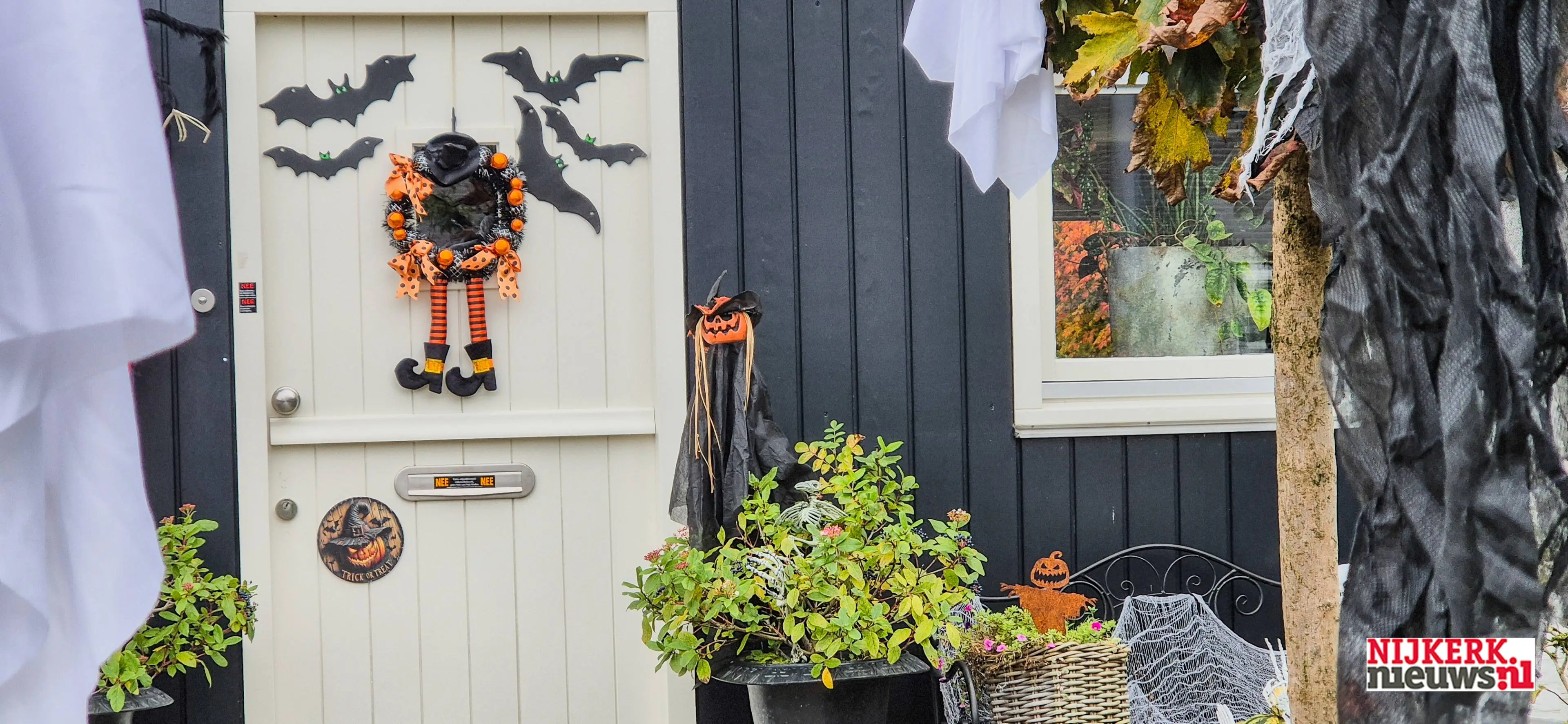 2025-11-01 halloween-1