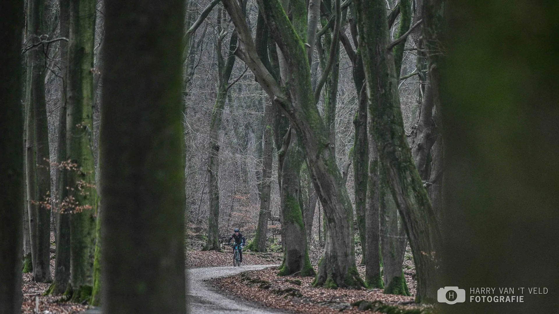 2025-12-27  Derry xmass-15