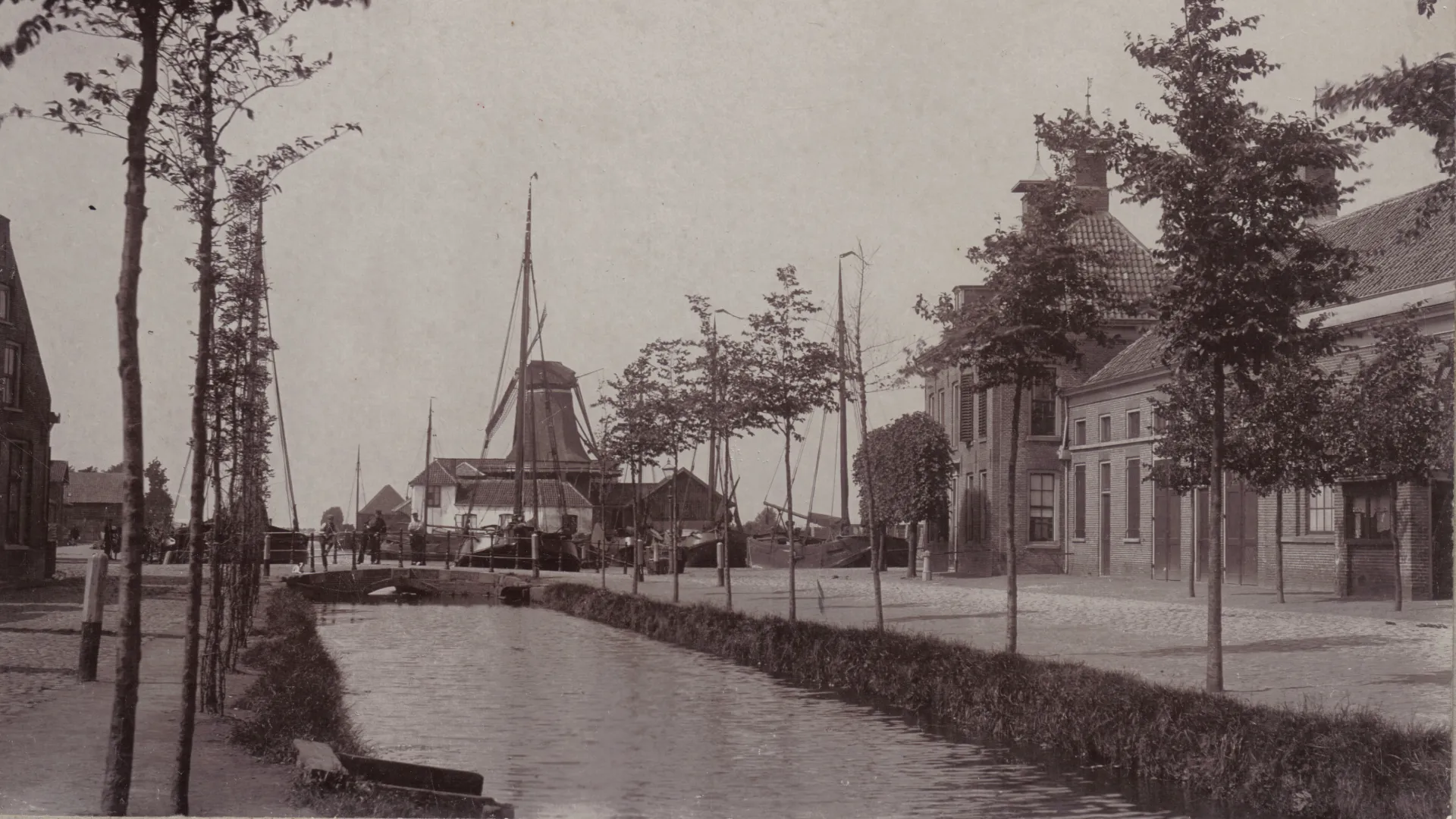 2026-02-06 de dolphijn