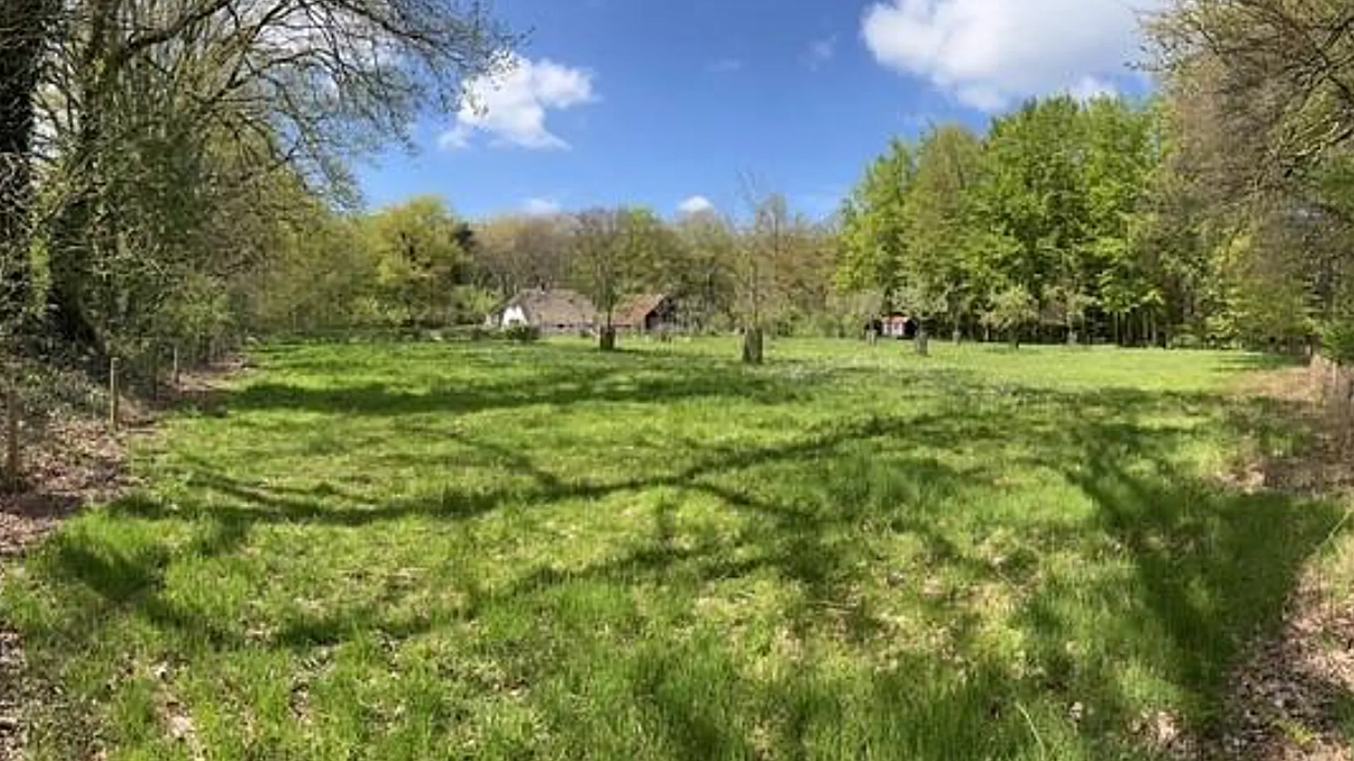 2026-02-19 hoevelakense bos