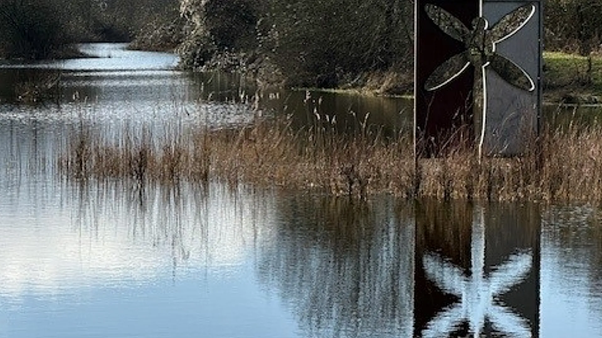 2026-02-19 Hulckesteijnse bos laatste slenk